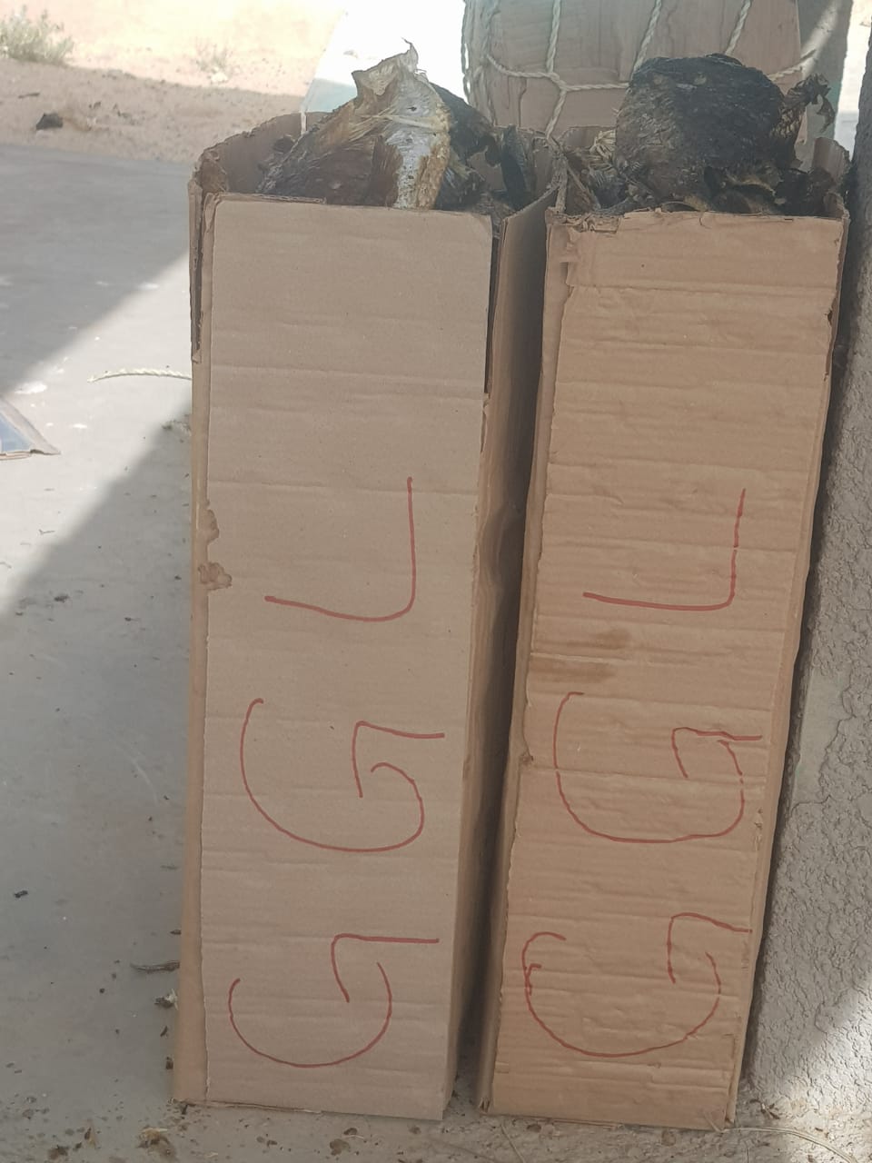 GGL Branded Packaging